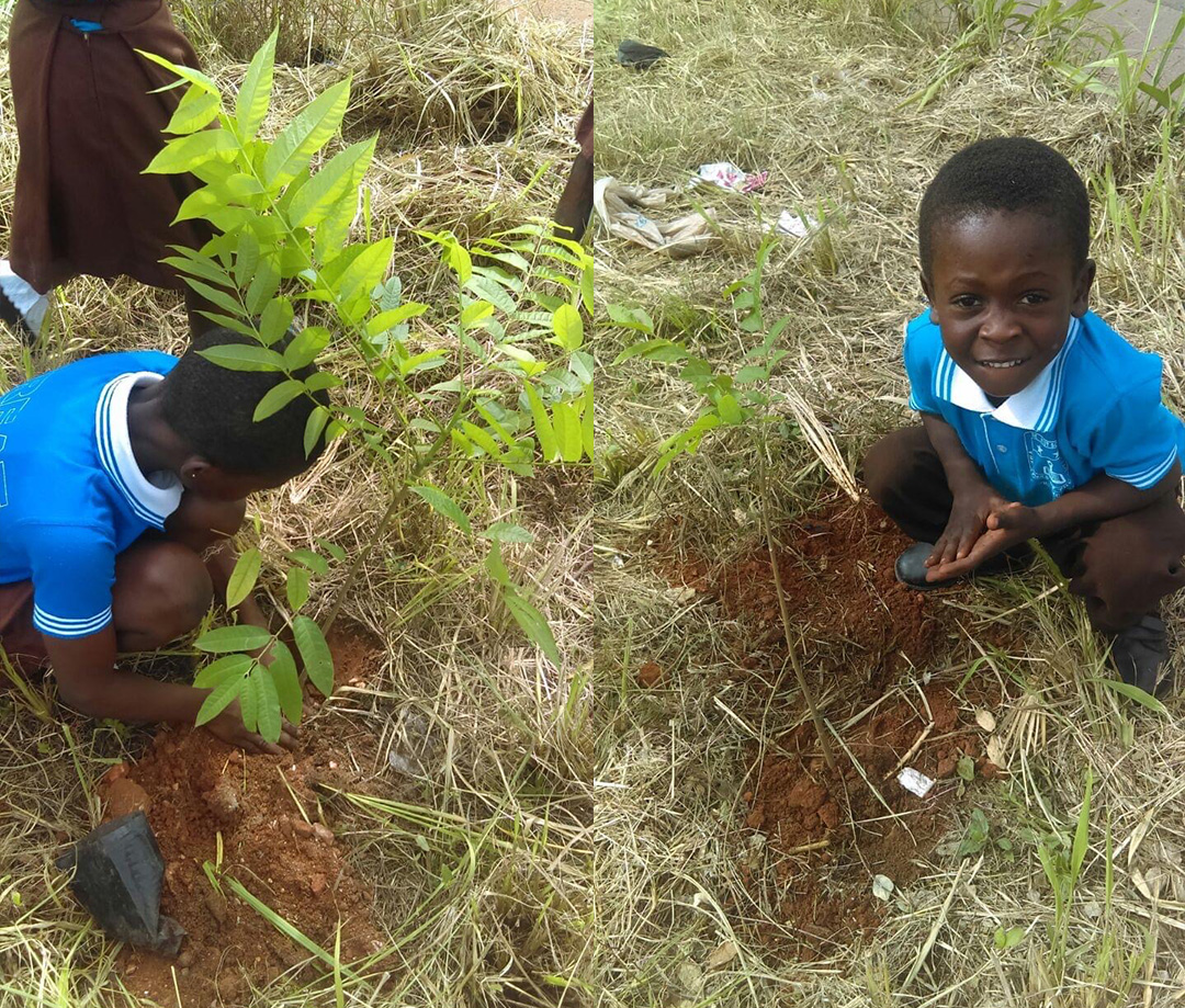 tree-planting-06