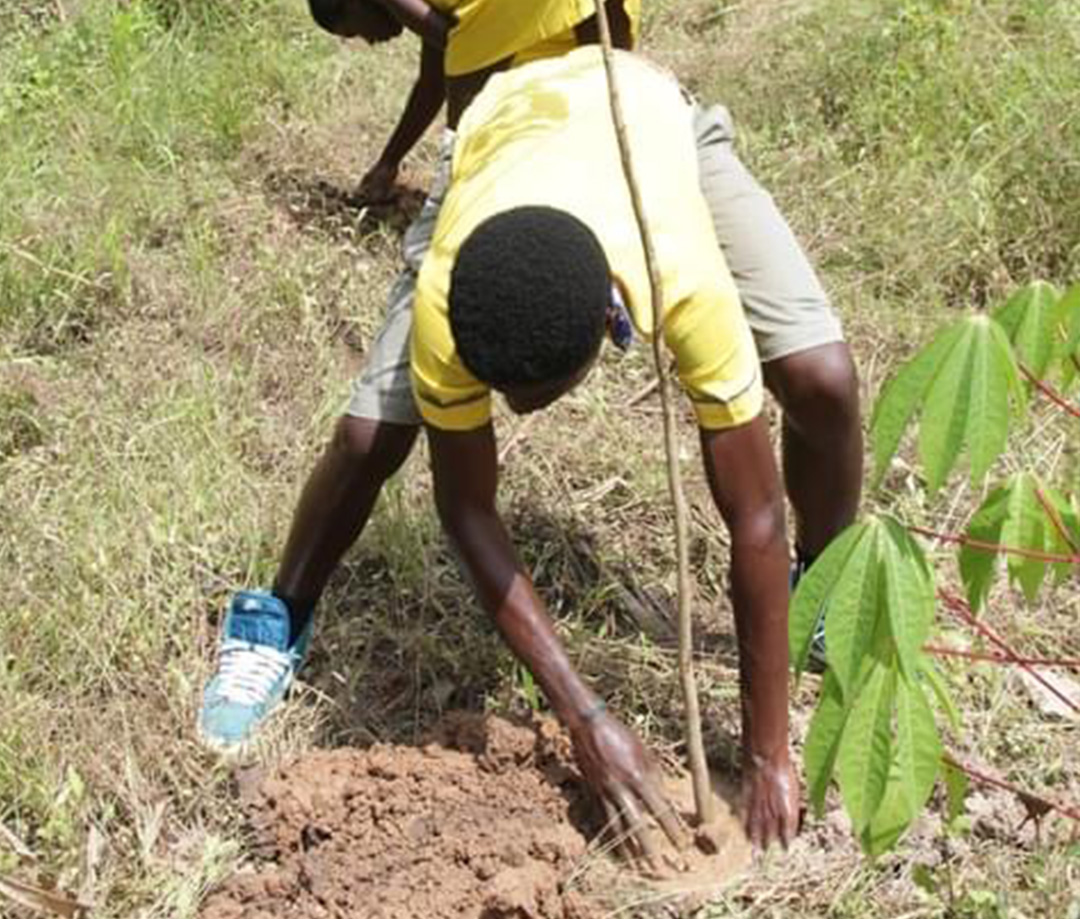 tree-planting-07
